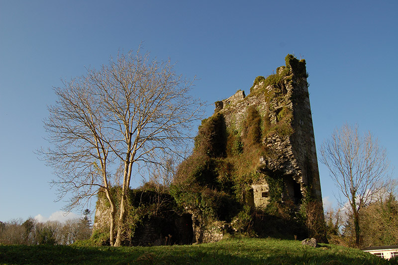 1 Dunkerron Castle, 2009