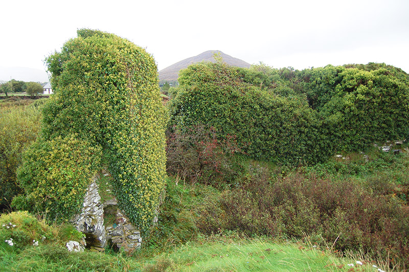 10 Ivy clad Ardea Castle destroyed during Cromwellian times