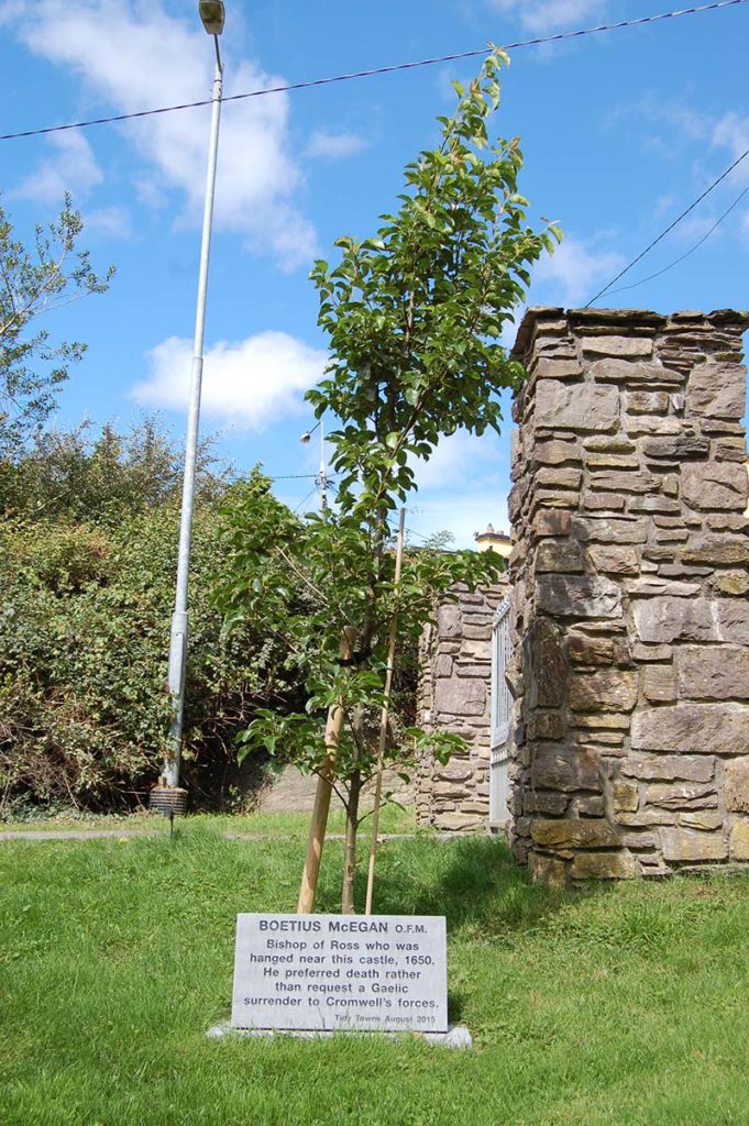 17 Memorial to the Bishop of Ross at Carrigadrohid He 'preferred death rather than request a Gaelic surrender to Cromwell's forces'